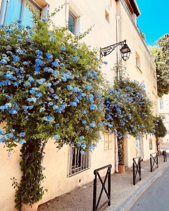 "Appart Aux Fleurs Bleus" Arles Fondation Van Gogh 외부 사진
